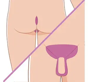 Brazilian Extendido (Él)